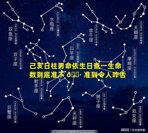 己亥日柱男命依生日查一生命数到底准不 🌷 准到令人咋舌